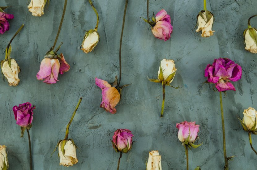 خواص گل محمدی